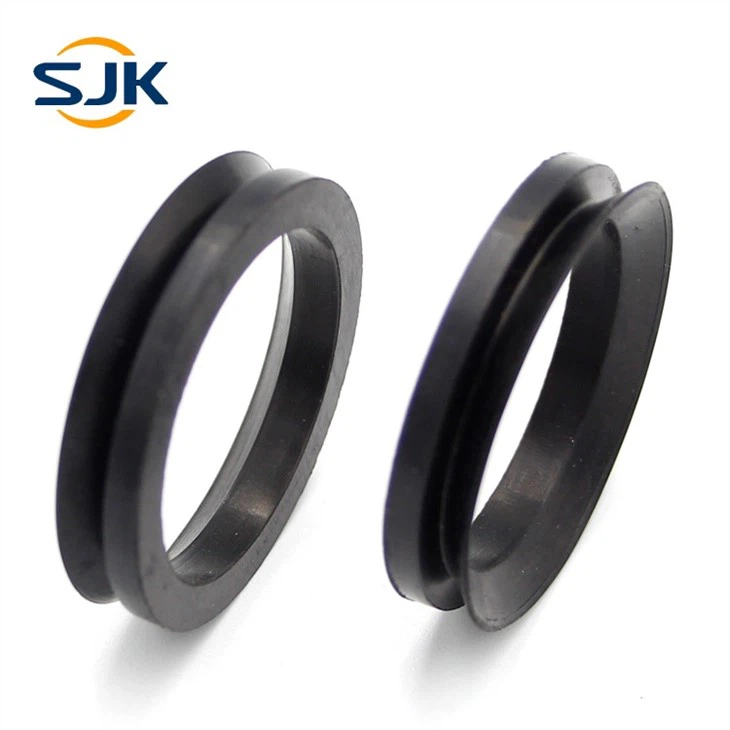 v ring seal